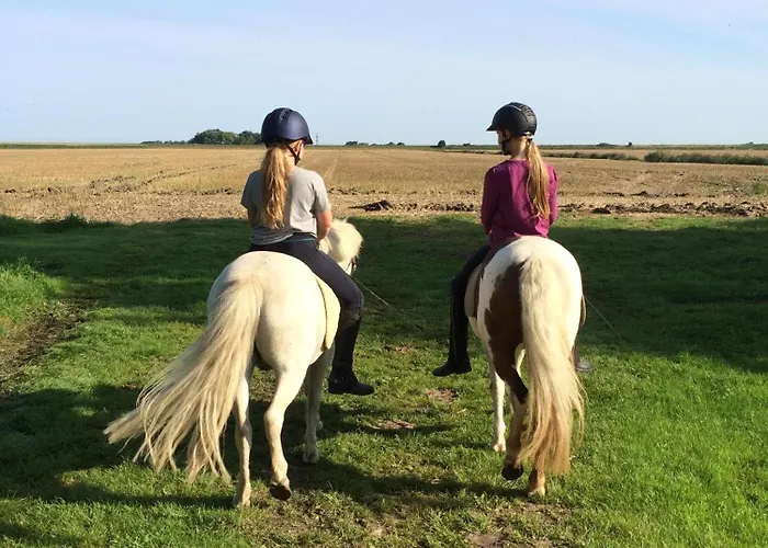 Appartement Tetenshof Fuer Pferdeliebhaber